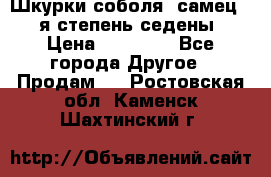 Шкурки соболя (самец) 1-я степень седены › Цена ­ 12 000 - Все города Другое » Продам   . Ростовская обл.,Каменск-Шахтинский г.